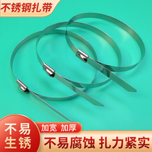 304不銹鋼扎帶電線電纜廣告牌下水管固定綁帶不松扣自鎖捆綁扎帶