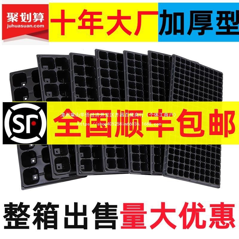 盒育苗育苗育苗育苗肉盆多器箱塑料蔬菜盘整盘育苗出售穴盆整箱苗