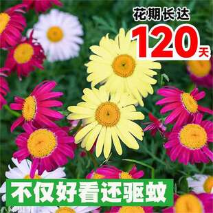 ���羳��؛�����x�ջ��N�������ֲ��һ���ļ����N���_���ݷN����