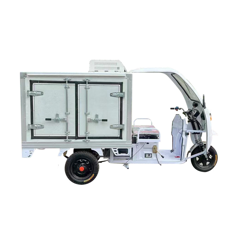 Vehículo de transporte de alimentos fríos, frutas y verduras, refrigerador de aislamiento de alimentos fríos, pequeño refrigerador de aislamiento de frutas y verduras, camión de cadena fría