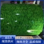 建筑库存小草围挡彩钢卷