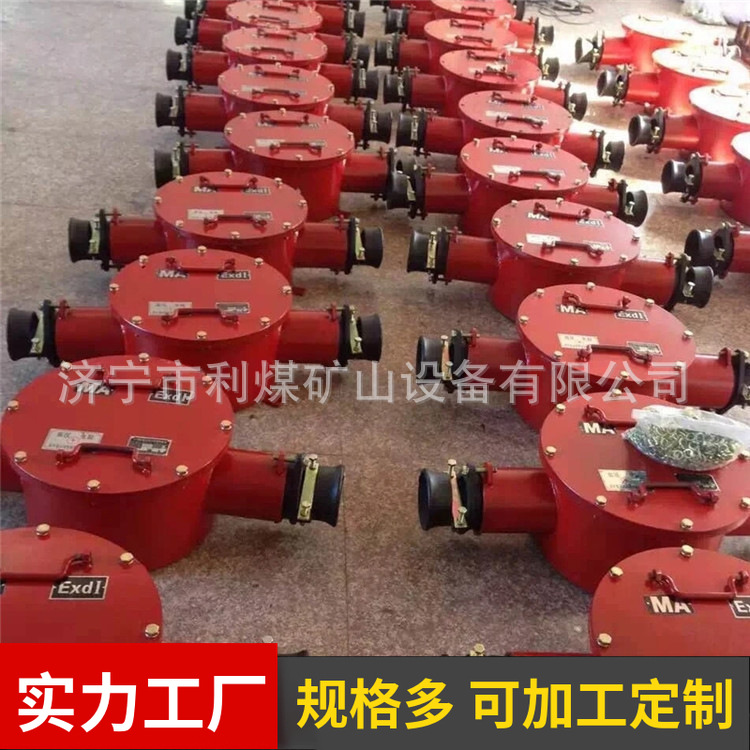 二通接线盒BHG1-200/6-2G矿用隔爆型高压电缆接线盒  光纤接线盒