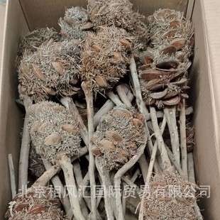 �����������ġ��M�ڸ�֦���~�b廨�ҾӔ[�O���նYƷ��Ȼֲ��