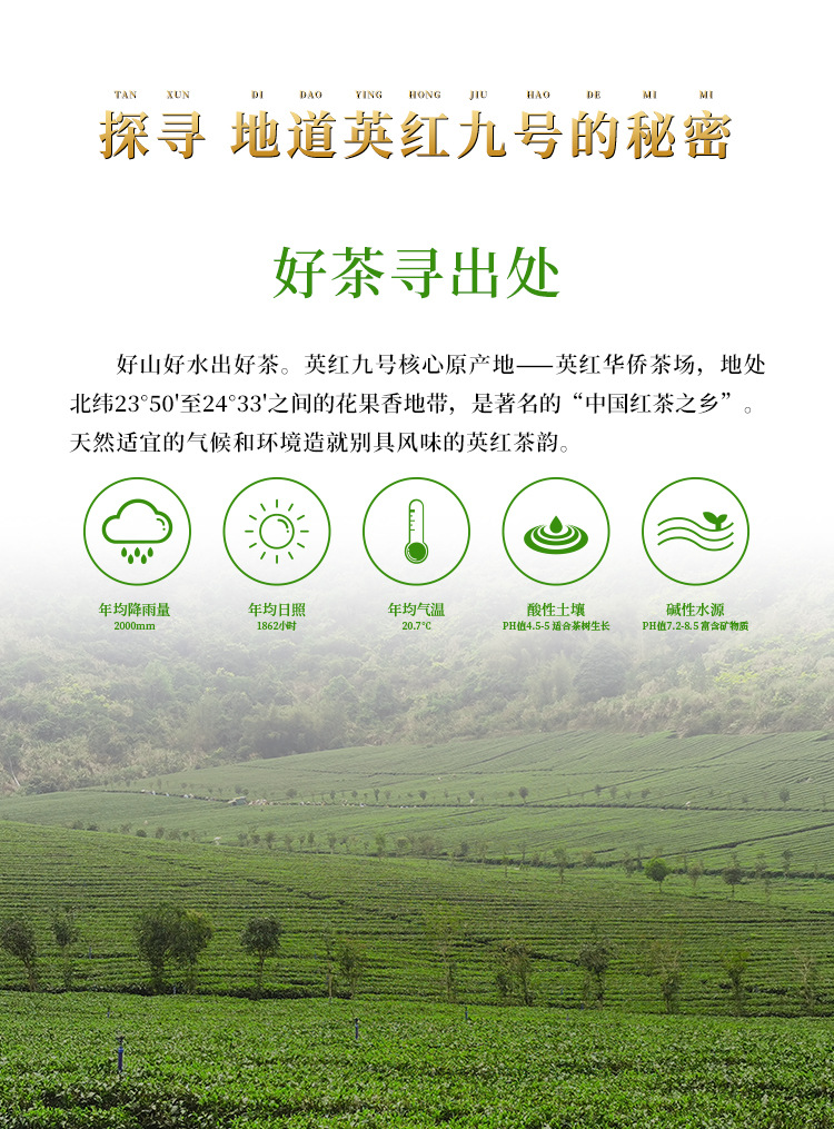 英红优品九号250g详情页_02
