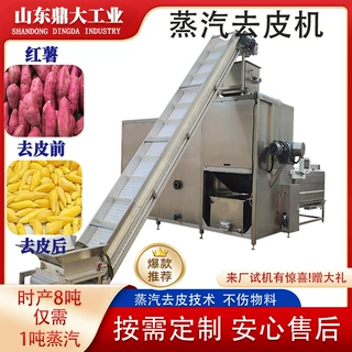 全自动蒸汽去皮机 罐头果蔬脱皮机械 土豆红薯辣椒葡萄加工设备