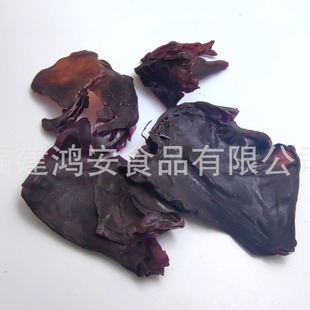 Dulse �tƤ��  ��t��   Rhondymenia palmata Óˮ�߲�   ��Ȼ