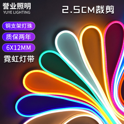 led霓虹灯条2835贴片户外防雨硅胶做字造型12v低压柔性霓虹灯带|ms