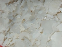 �ؙ�Ϟ ֲ���ؙ�Ϟ diy��Ϟ����Ϟ��Ϟԭ�� Ƭ���ؙ�ϞϞ�T��֬