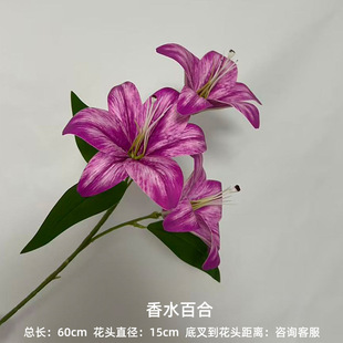 ���^�ٺϷ��滨��c�Ƶ�·���b���ٻ��Ƶ�ҾӴ���Ƥ��С�ٺ�