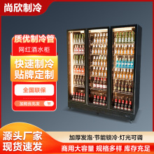 豪华网红啤酒柜饮料酒水展示柜冷藏冰柜商用冷柜单双三门酒吧冰箱