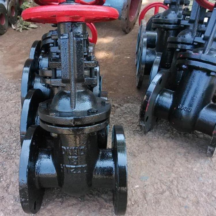 Z41T-16 铸铁明杆法兰闸阀 Z41T 手动污水排污法兰闸阀 HT200