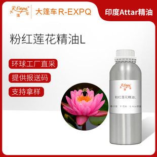 �ۼtɏ������L Pink Lotus����܇ԭ�����l�����o���{�����܇����