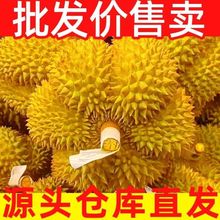 泰国进口金枕头榴莲鲜果巴掌新鲜榴莲水果软糯香甜水果之王