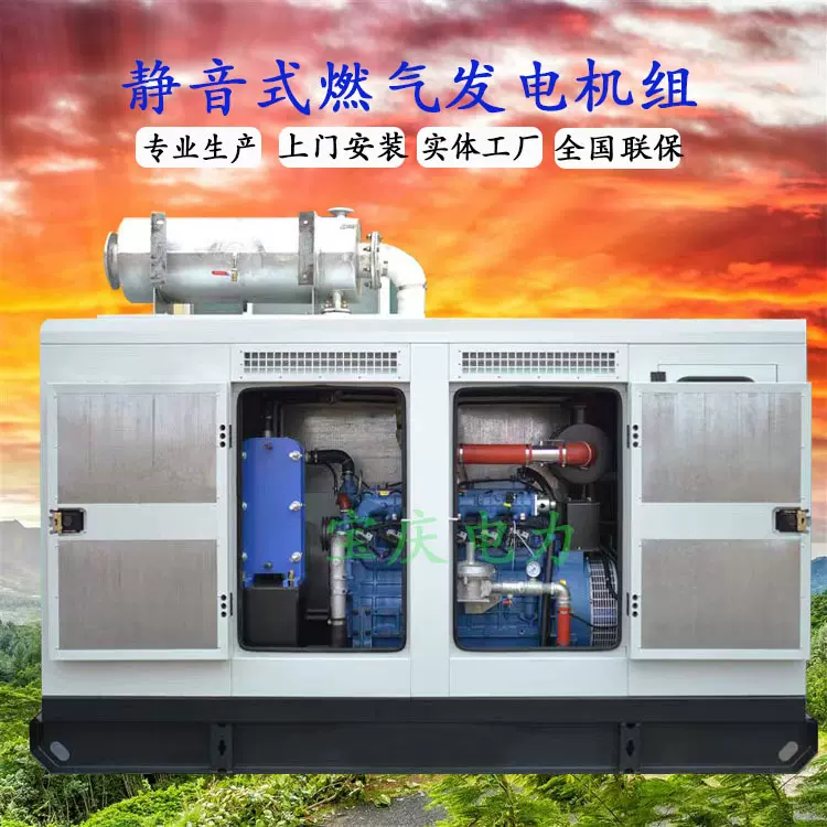 静音式燃气发电机组 大功率集装箱 500KW 沼气 LPG 养殖常用 矿区