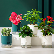 ͸������ˮ�໨��G�}��������ˮ����С�����̨�҃�ֲ��ˮ�B����