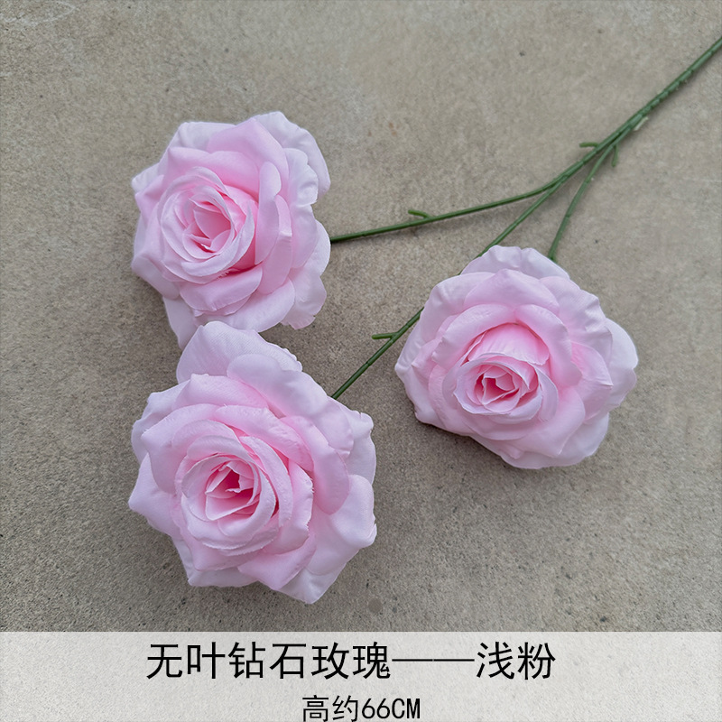 Rosa de diamante sin hoja-4