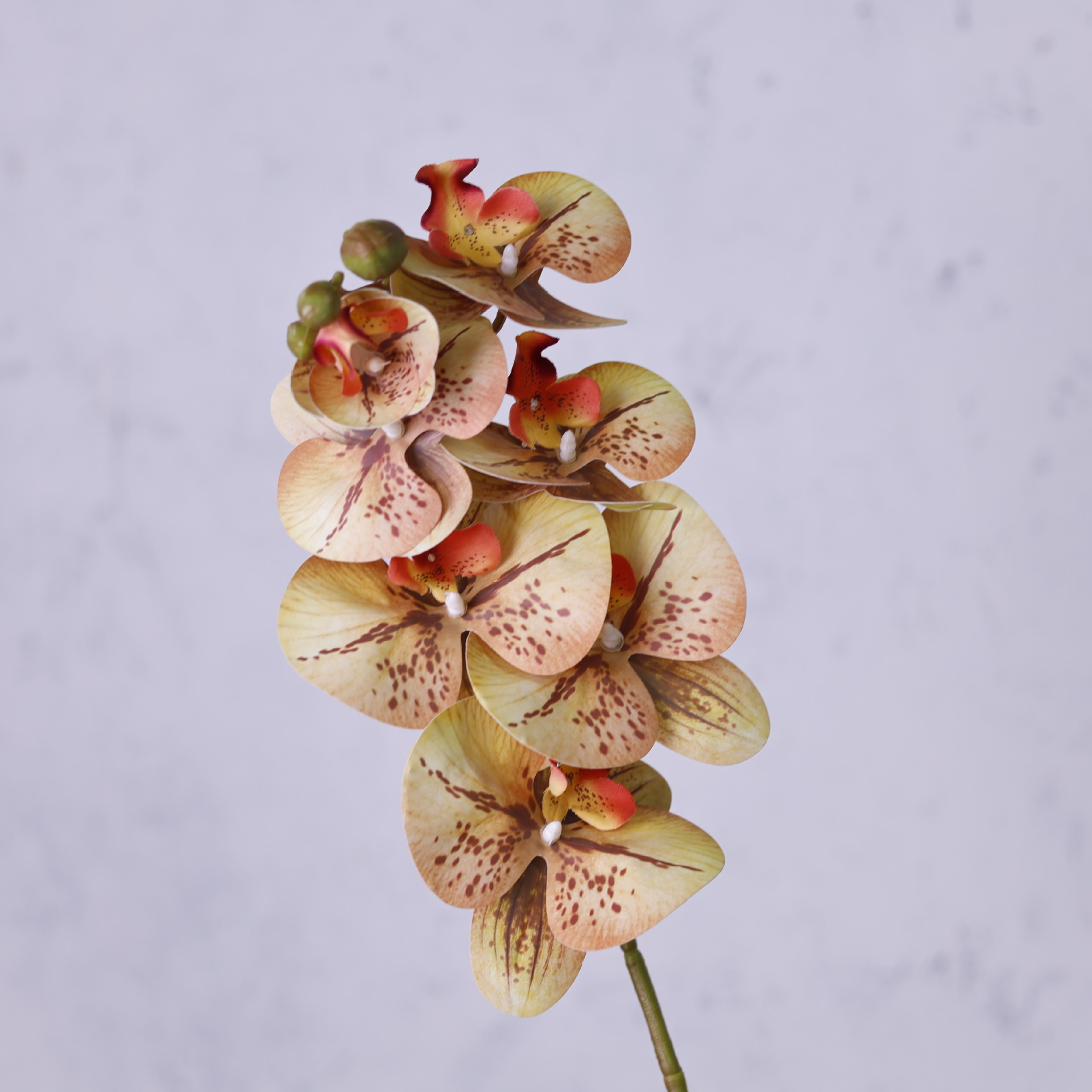 Impresión 3D de 7 cabezas de orquídeas mariposa flor de decoración de flores de alto nivel flor de nicho decoración floral decoración de sala de estar