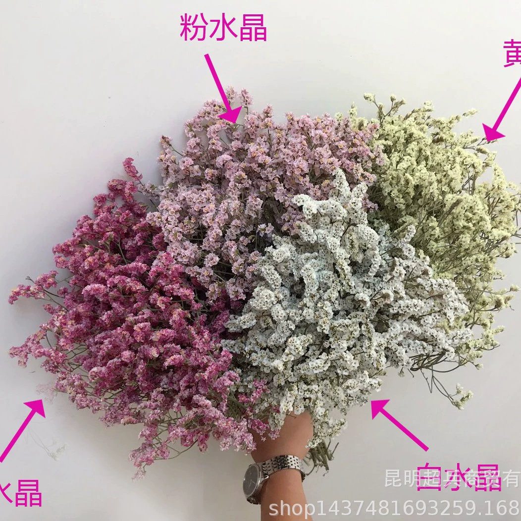 Сухой кристаллический букет Grass (Statice) — смешанные натуральные цвета, декоративная цветочная композиция, 0,06 кг