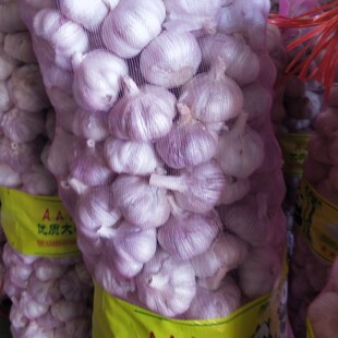 ����a��ֱ�N�����Sֱ���t�⡢�s���⡢��Ƥ��ͼ��ף����󃞃��|