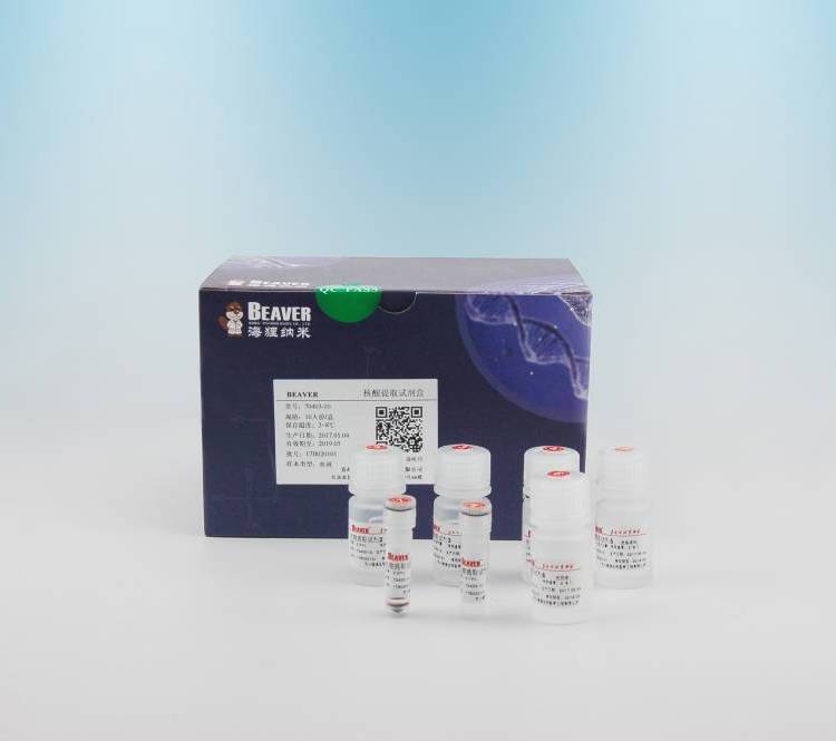 海狸BEAVER粪便总DNA提取试剂盒70411
