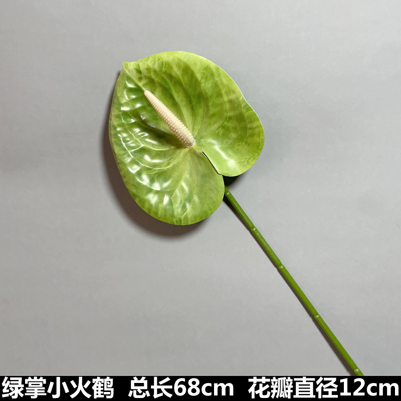 검은 녹색 손바닥