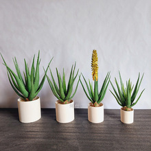 �J�C�Ӽ���ؾGֲ�b[����Ƥ�m�������ԟᎧ���ֲ��R�O����