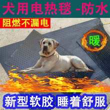 ����늟��Ȯ���؉|����늟�̺�F�����z�ӟ���BС�iţ��ȡů�O��