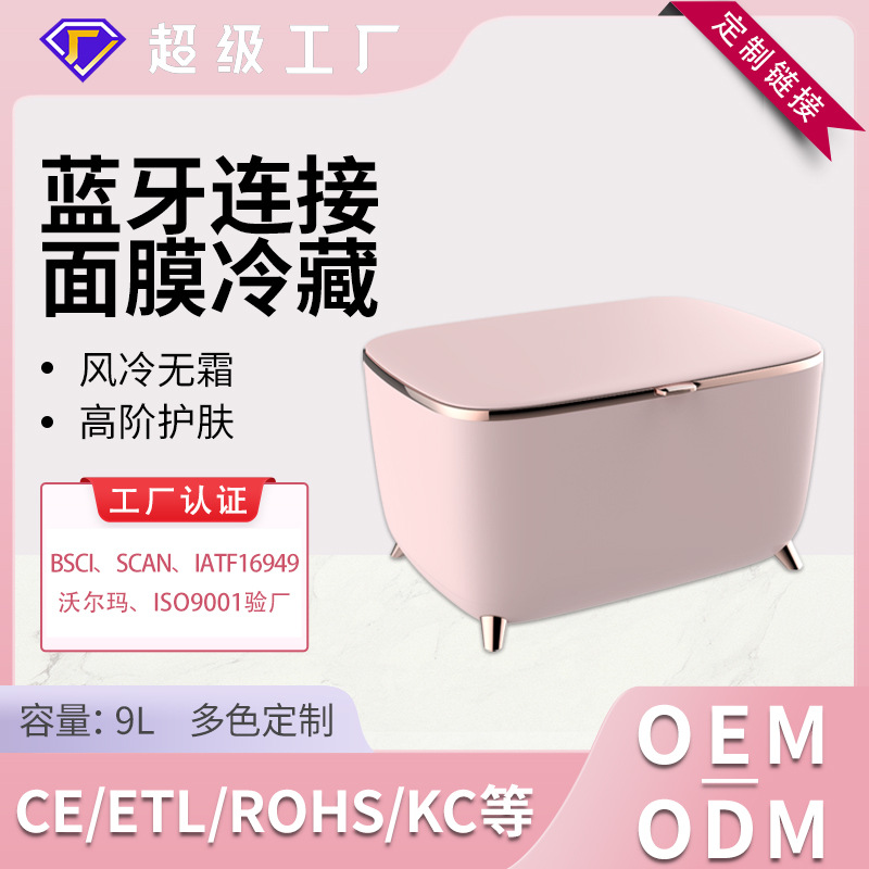 Procesamiento personalizado 9L hogar dormitorio belleza refrigerador silencioso conveniente mini refrigerador de cosméticos