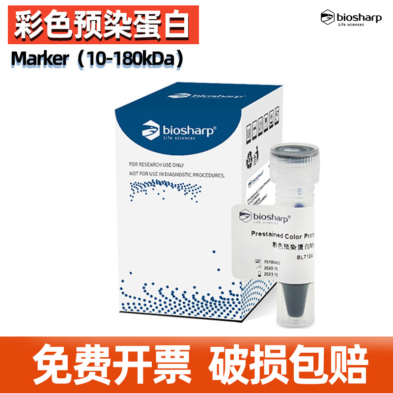 Biosharp白鲨 BL712A 彩色预染蛋白Marker（10-180kDa） 250ul