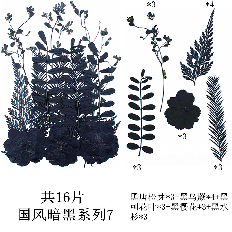 내셔널 스타일 다크 시리즈 7