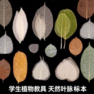 ���N�~�} �������z�~�} �ɻ�����DIY�ֹ���� �֙C�����z