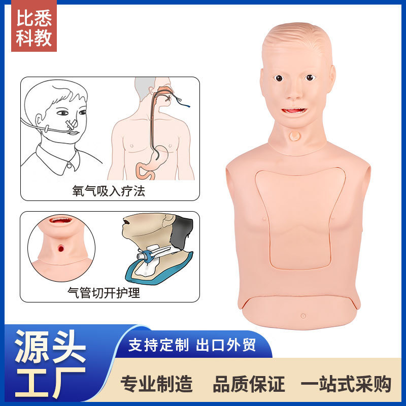 Advanced nasogastric tube and trachea nursing model Advanced nasogastric tube and trachea nursing model