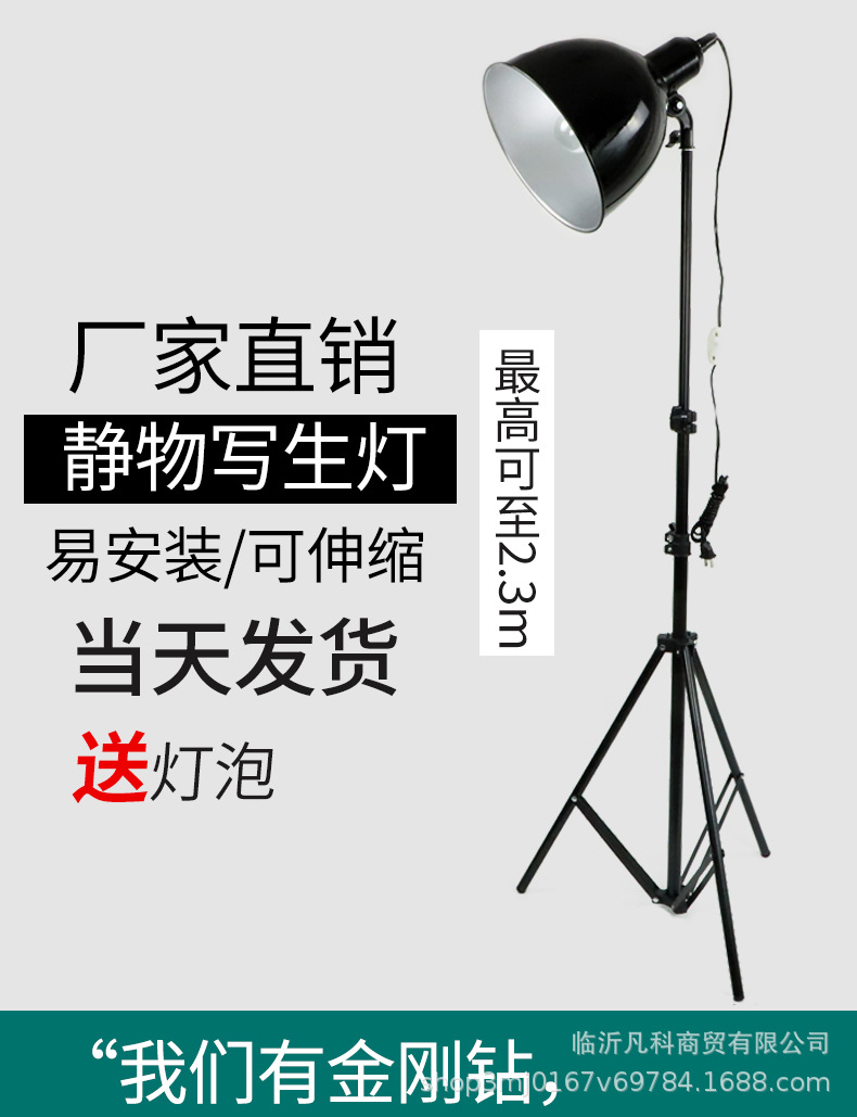 Black Still Life Sketch Light_01.jpg