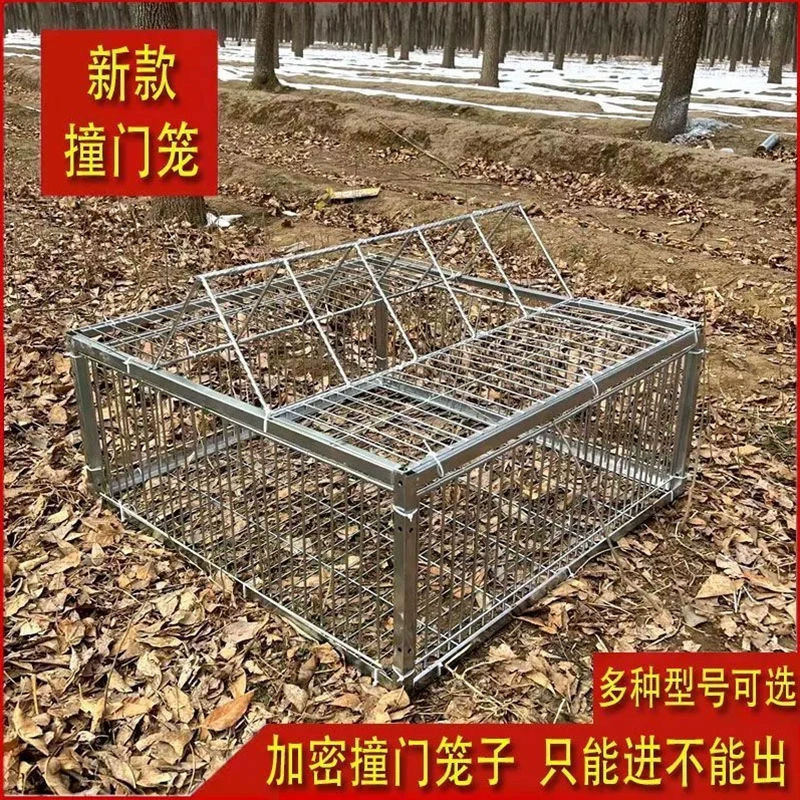 Уличная клетка для голубей с автоматической дверью, железная клетка, односторонний вход, автоматическая дверь на крыше, бесплатная доставка.