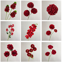 �tɫ���滨�������û�c��Y�Ƶ��b��滨����õ�彑��ٻ����l