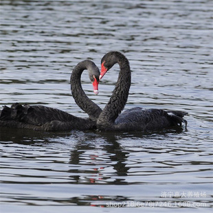 �^�p�����Z �����Z���� ���۾��^�Θ��@���@�^�p�����Z���w��r��