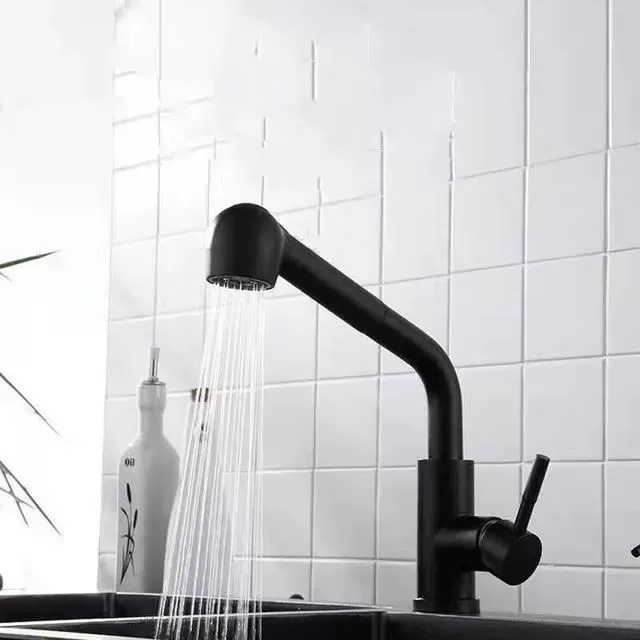 Black 304 stainless steel pull-out kitchen faucet sink sink telescopic universal hot and cold faucet