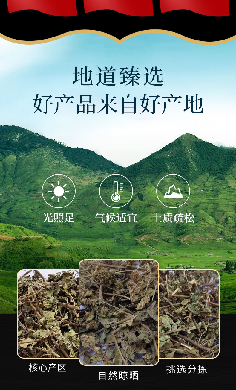 Niu Zhi Xiang (Origanum vulgare) — Dried Oregano Herb for Cooking & Herbal Tea key features