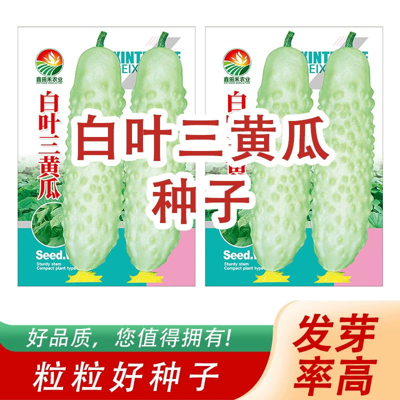 Белый лист три семени огурца, маленькие семена огурца, семена огурца, устойчивые к засухе, раннего созревания, всесезонные овощные семена оптом.