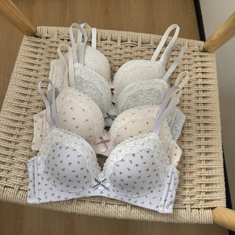 British Floral French Style Wire-Free Pure Desire Small Breast Push-Up Intimates Lace Sexy Thin Cup Bra Set for Girls British Floral French Style Wire-Free Pure Desire Small Breast Push-Up Intimates Lace Sexy Thin Cup Bra Set for Girls