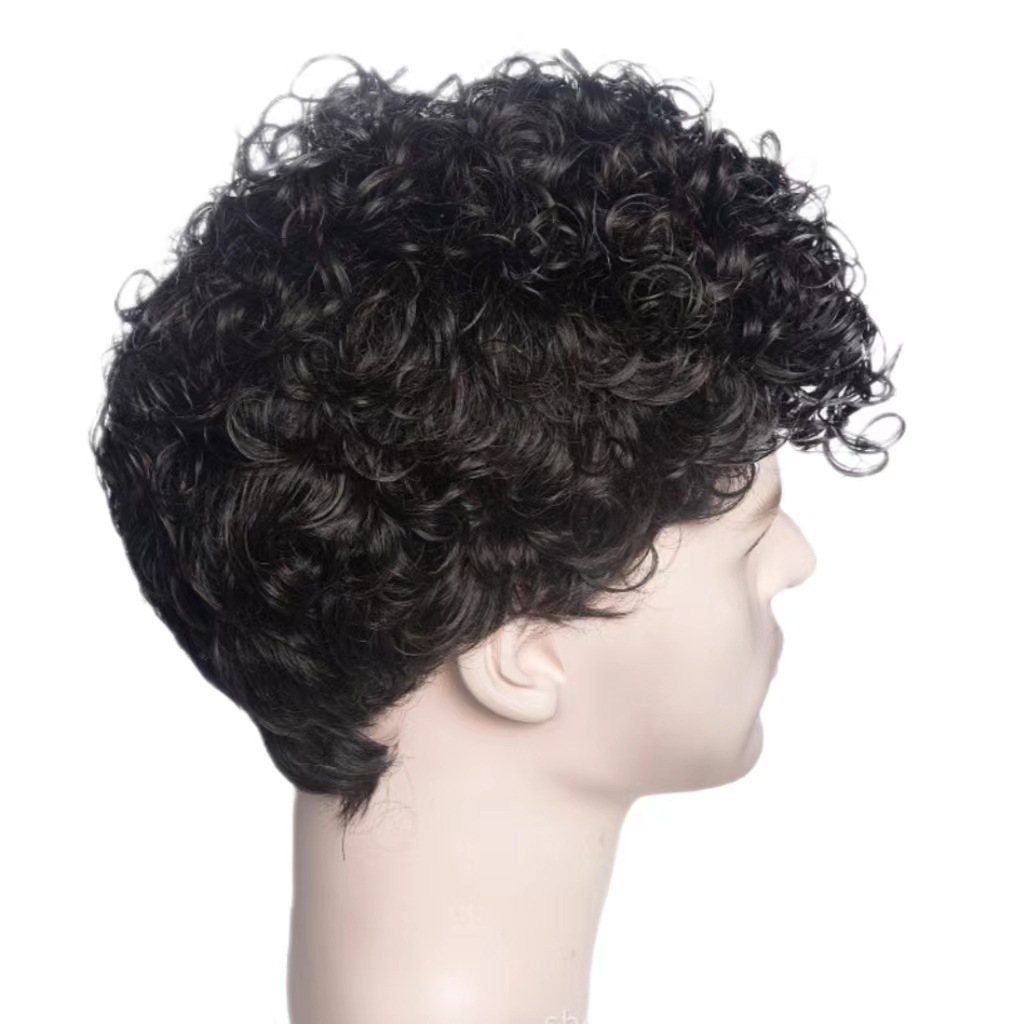 Men's Stylish Short Curly Synthetic Wig Trendy Full Length European American Hair Extensions Average Size High Temperature Lace For Everyday Wear_voghion.com