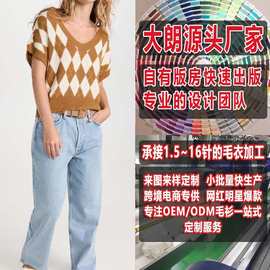 毛织厂加工定制春夏欧美刺绣毛衣短袖女装套头针织衫看图来样打版