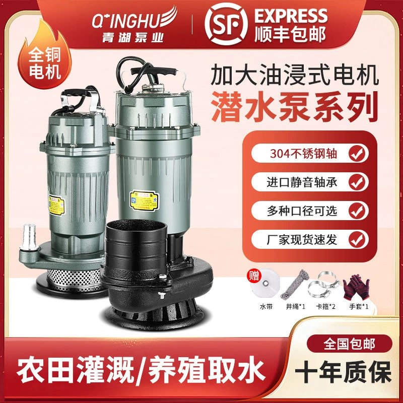 Погружной насос Taizhou Qinghu 220V380V, насос для чистой воды, насос для сельскохозяйственного орошения, бытовой водяной насос с большим расходом и высоким подъемом