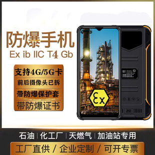 ���������֙CEx ib IIC T4ʯ�ͻ�����Ȼ�����վ�������ܽK��ȫ�W
