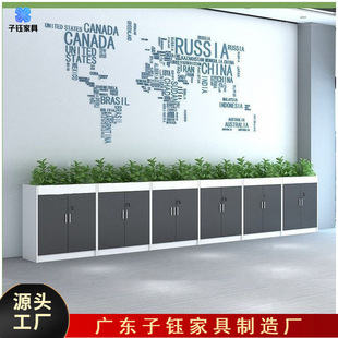 New Office Partition Cabinet Flower Slot Cabinet Low Cabinet Storage Documents Cabinet Table Side Cabinet Long Strip Simple Present