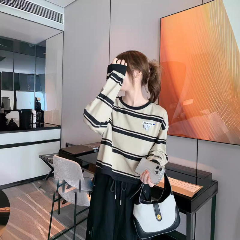 Ader Long-Sleeved T-Shirt Women's 24 Spring Loose High-End Elegant Women's High-End Stripesd Short Bottoming Shirt Top