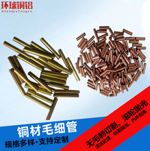 ����H65�S�~��&Phi;0.8-100mm���������~�����~�h�и��ë���܏S