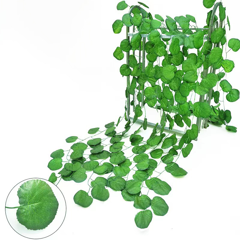 36 leaves 2.3m begonia leaves