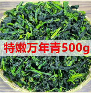 ��؛�f����500g�ɲ�Óˮ�߲˸���˸��ϙ�˸ɲ˸�؛�۲���Ұ�˸�