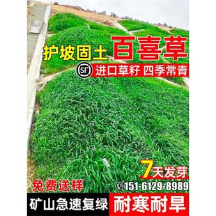 ��ϲ�ݲ����ͺ��ͺ��o�¹������~ȸ�޲ݷN�͸ߜصVɽ���ُ;G�N��